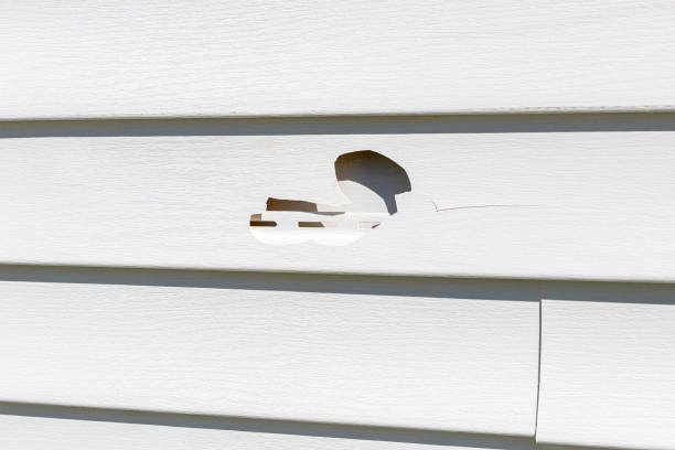 Best Insulated Siding Installation  in Bulverde, TX